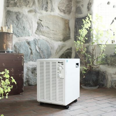Déshumidificateur Wood's SW59FW 41L/J 230m²
