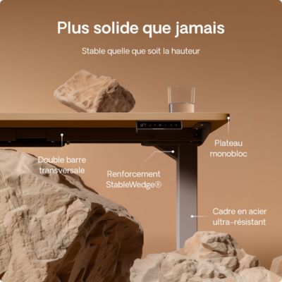 Desktronic Bureau assis debout HomePro 200x80cm - Électrique Réglable en Hauteur - Chargeur USB/USB-C - Gris/Chêne