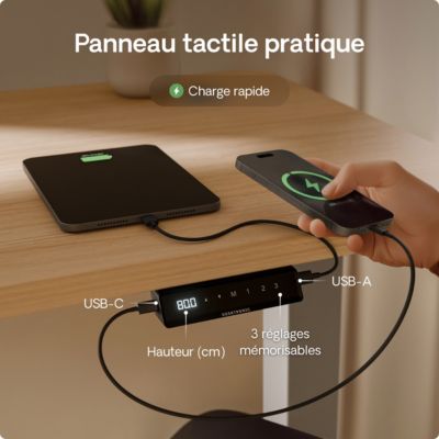 Desktronic Bureau assis debout HomePro 200x80cm - Électrique Réglable en Hauteur - Chargeur USB/USB-C - Gris/Chêne