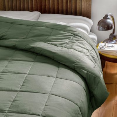 Dessus de lit polyester microfibre 240x220 cm LAZY vert argile 150g/m2