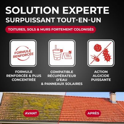 Destructeur de dépôts verts toitures, murs et sols PAE Starwax 5L