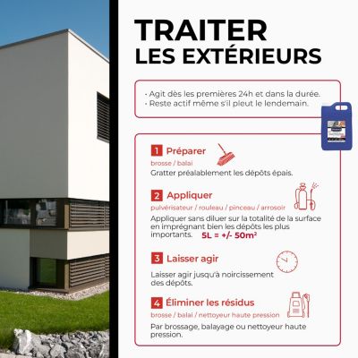 Destructeur de dépôts verts toitures, murs et sols PAE Starwax 5L