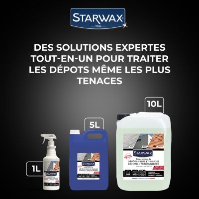 Destructeur de dépôts verts toitures, murs et sols PAE Starwax 5L