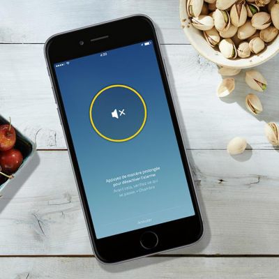 Détecteur de fumée et de monoxyde de carbone Nest Protect 2