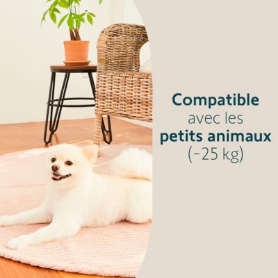 Détecteur de mouvement intérieur - Somfy - Compatible Animaux – Fabriqué en France - Compatible Home Alarm (Advanced, Essential), One (+)
