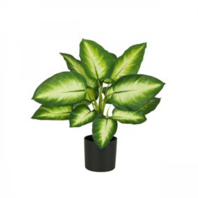 Dieffenbachia artificiel toucher naturel 50cm