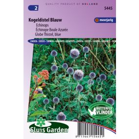 Digitale pourprée Excelsior mix, Géant de Notre-Dame - Graines De Fleurs Bisannuelles - Ca. 0,5 g