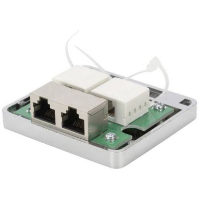 Digitus boîtier de consolidation Cat 6A montage apparent 2 ports RJ45 ...