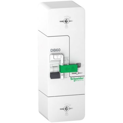 Disjoncteur branchement phase + neutre 15/30/45A 500mA instantané Schneider Electric Resi9