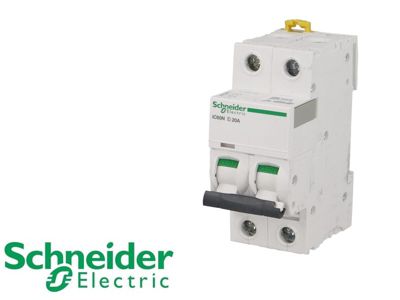 Disjoncteur modulaire bipolaire Schneider Acti9 iC60N 40A courbe D
