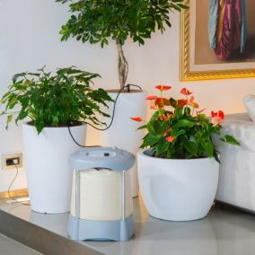 Distributeur d'eau avec programmateur pour 20 pots Aqualux System