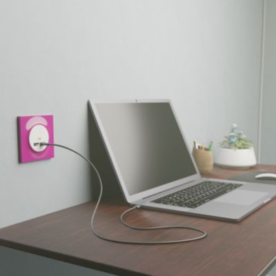 Double chargeur usb A + C 12W Schneider Electric Ovalis blanc