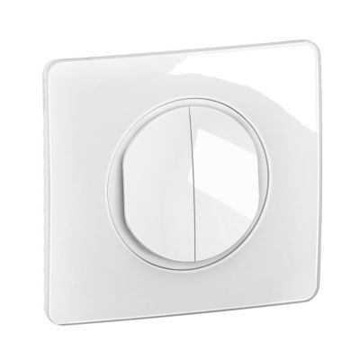 Interrupteur Double Va-et-vient Legrand Sagane Opalis Blanc – Occasion Fonctionnel