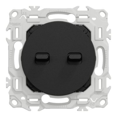 Double va-et-vient ou poussoir à levier, 10AX, noir onyx, Odace