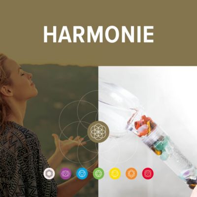 Douchette 1 jet Harmonie 12 cm 7ChakrasShower Change your life