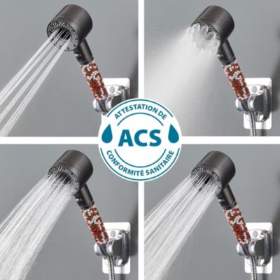 Douchette 5 jets argent Pure Shower Eco