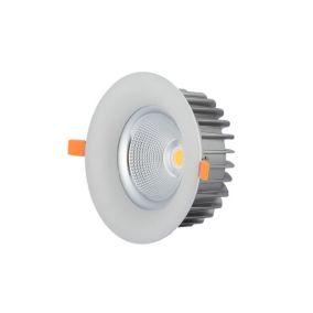 Downlight LED 40W rond 195mm Blanc - Blanc du Jour 6000K