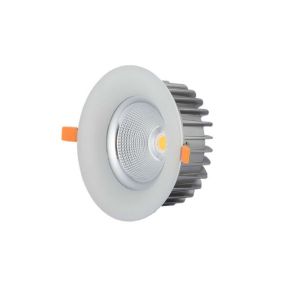 Downlight LED 60W rond 230mm Blanc - Blanc du Jour 6000K