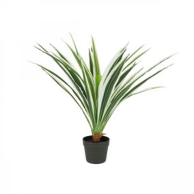 Dracena artificiel toucher naturel 80cm