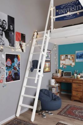 Echelle de meunier rabattable : 55cm de large - Hauteur à franchir 3m - Couleur : Blanc (RAL 9003) - MSP/WW