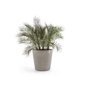 ECOPOTS Grand pot sur roues Amsterdam 60 Taupe - D. 60 x H. 56 cm - 100 L