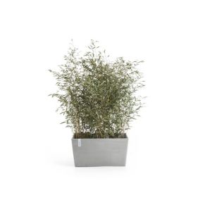 ECOPOTS Jardinière Paris 100 Blanc Gris - 99 x 46 x H. 50 cm - 170 L