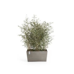 ECOPOTS Jardinière Paris 60 Taupe - 60 x 26 x H. 40 cm - 46,7 L