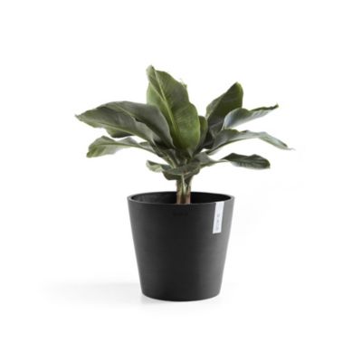 ECOPOTS Pot Rond Amsterdam 30 Gris Foncé - D. 30 x H. 26,3 cm - 12,8 L