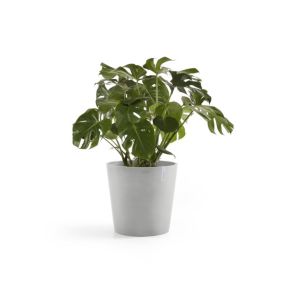 ECOPOTS Pot Rond Amsterdam 50 Blanc Gris + réservoir d'eau - D. 50 x H. 43,8 cm - 62 L