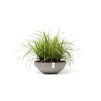 ECOPOTS Pot Rond Vienna 50 Taupe - D. 50 x H. 18 cm - 22,3 L