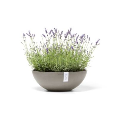ECOPOTS Pot Rond Vienna 50 Taupe - D. 50 x H. 18 cm - 22,3 L