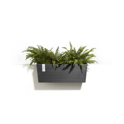 ECOPOTS Pot suspension mural Hanging Bruges 55 Gris Foncé - 55 x 20 x H. 21 cm - 14,2 L