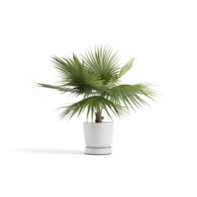 ECOPOTS Soucoupe à roulette 60 Pure White