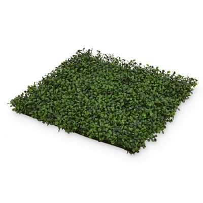 Ecran de verdure clipsable Blooma 50 x 50 cm | Castorama