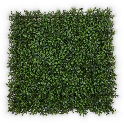 Ecran De Verdure Clipsable Blooma 50 X 50 Cm Castorama