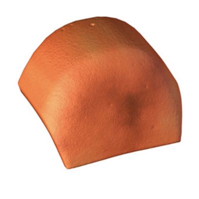 Ecusson petit côté Silvacane Monier 13 x 33 cm