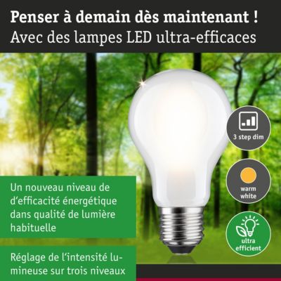 Efficient-Line Filament 230 V Ampoule LED E27 Luminaire individuel 1521lm 8,2W 3000K gradable Dépoli