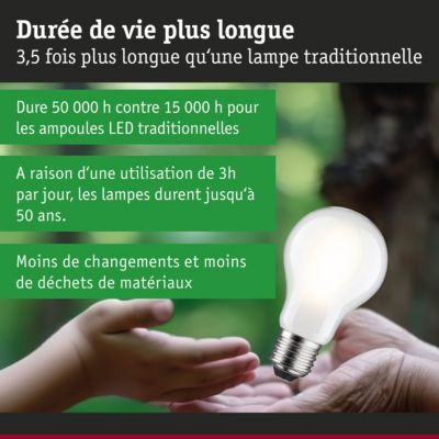 Efficient-Line Filament 230 V Ampoule LED E27 Luminaire individuel 1521lm 8,2W 3000K gradable Dépoli