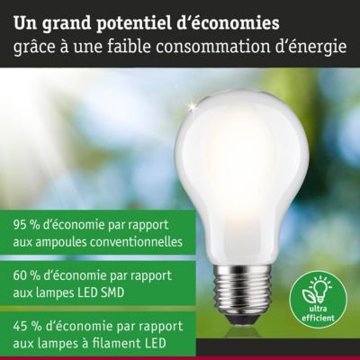 Efficient-Line Filament 230 V Ampoule LED E27 Luminaire individuel 1521lm 8,2W 3000K gradable Dépoli