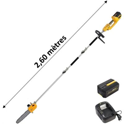 Elagueuse sur perche sans fil à batterie, 40 V, GT ELEC + batterie 2 Ah + chargeur - GT ELEC