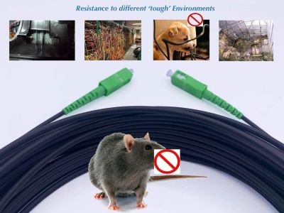 Elfcam - Fibre Optique 100m (Noir, Blindé Acier) - SC/APC-SC/APC, OS2 Monomode, Étanche, Int./Ext.