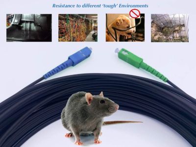 Elfcam - Fibre Optique 25m (Noir, Blindé Acier) - SC/APC-SC/UPC, OS2 Monomode, Étanche, Int./Ext.