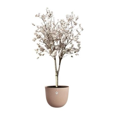 ELHO GIVE Room TO Nature - Pot et Jardinière L47cm H40cm