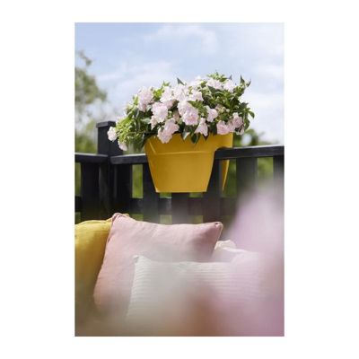 ELHO - Pot de fleurs -  Vibia Campana Flower Bridge 40 - Jaune Miel - Balcon exterieur - L 26 x W 39 x H 22 cm