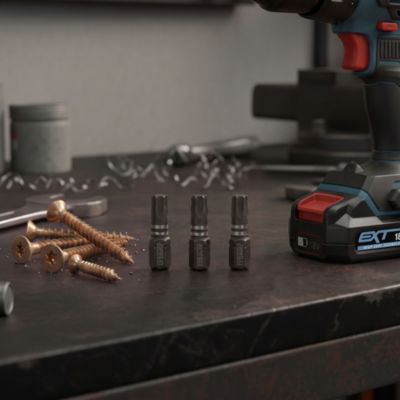 Embout de vissage torsion impact TX30 25 mm Erbauer - 3 pièces