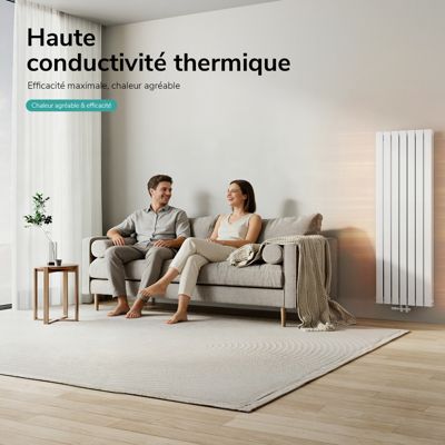 EMKE Radiateur eau chaude en acier Tube Plat Radiateur Mural Blanc 160x54cm 1739W Double Couche