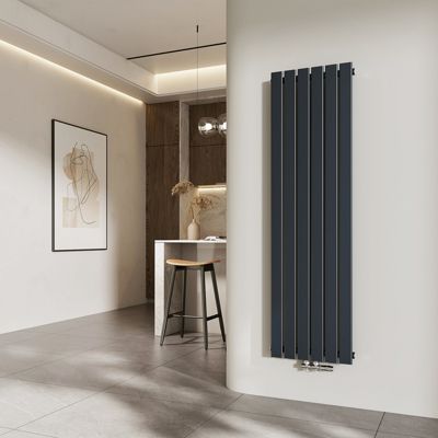 EMKE Radiateur à Eau Chaude, Radiateur plat seule couche connexion centrale, vertical design, Anthracite 160x46cm, 850W