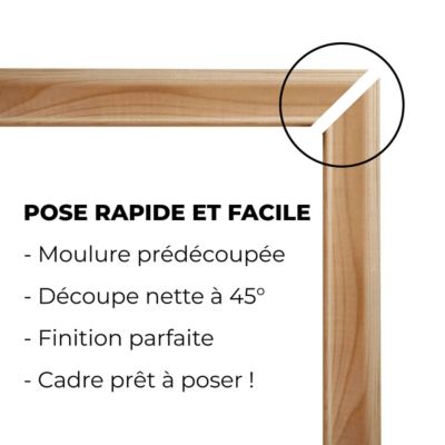 Encadrement mouluré NORDLINGER PRO 100 x 60 cm bois massif 42 x 14 mm