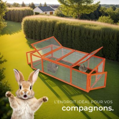 Enclos pour rongeurs en bois marron