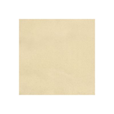 Enduit carrelage pour Mur et Sol - RENOVE CARRELAGE Albatre - 20 kg (environ 13 m²) - ARCANE INDUSTRIES